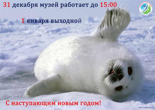 Режим работы 31 декабря и 1 января - 1 слайд