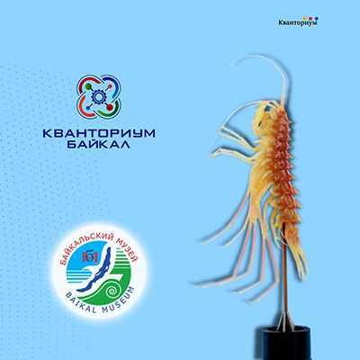 Проект по созданию 3D-моделей байкальских эндемиков - 1 слайд