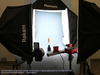 Миниатюра - 2 слайд