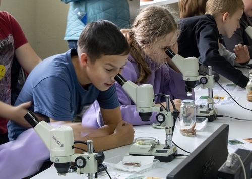 206 учащихся школ города Иркутска прошли практикум по байкаловедению  в Байкальском музее - 12 слайд