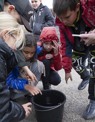 Миниатюра - 4 слайд