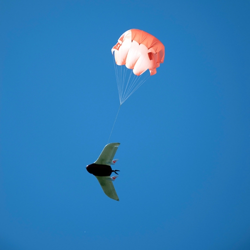 Семинар  Применение беспилотных воздушных судов в изучении экологии байкальской нерпы - 1 слайд