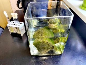 Миниатюра - 8 слайд