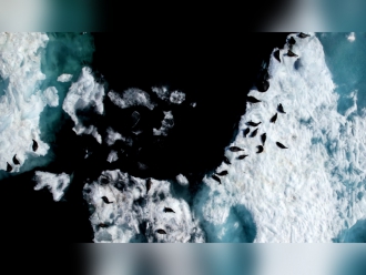 Миниатюра - 2 слайд