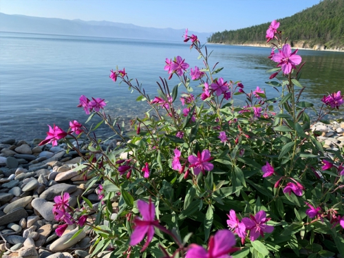 Сохраняем историческую память… - 5 слайд