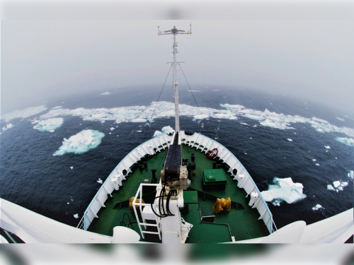 Участие во Всероссийской Зимней школе Плавучего университета - 4 слайд