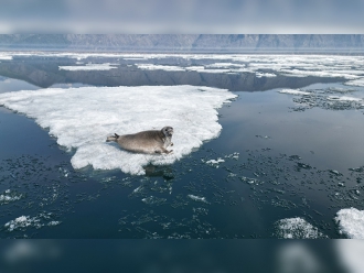 Миниатюра - 2 слайд