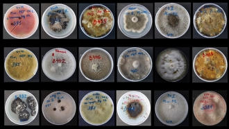 ВНИМАНИЕ! КОНКУРС!