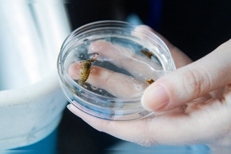 Миниатюра - 6 слайд