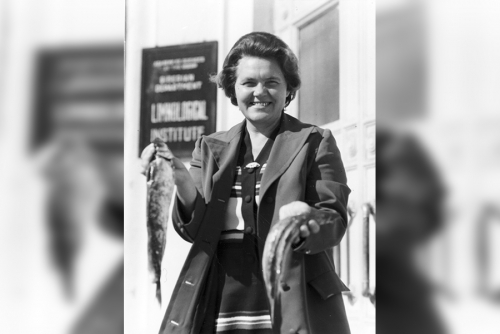 Гений места: о В. И. Галкиной - 1 слайд