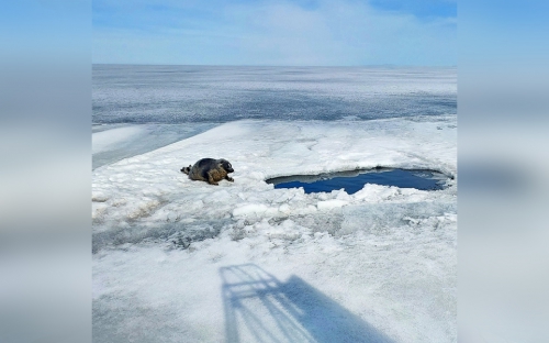 Открытие экспедиционного сезона 2025 - 9 слайд