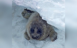 Открытие экспедиционного сезона 2025