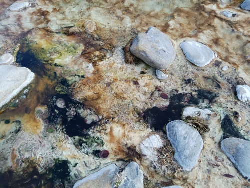 Экспедиционные работы - 2 слайд