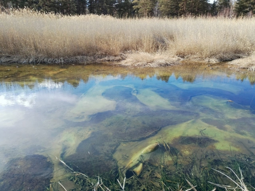 Экспедиционные работы - 5 слайд