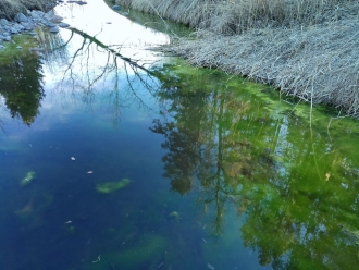 Миниатюра - 3 слайд