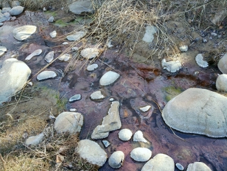 Миниатюра - 4 слайд