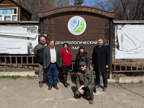 Посадка новых растений в дендропарке - 1 слайд