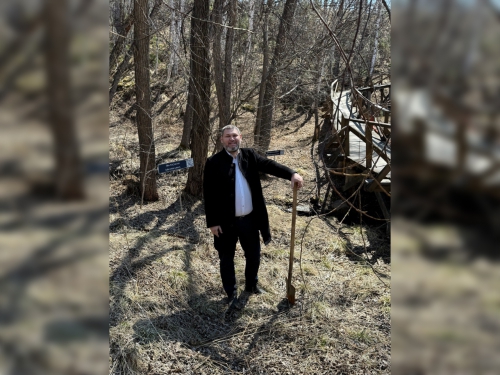 Посадка новых растений в дендропарке - 2 слайд