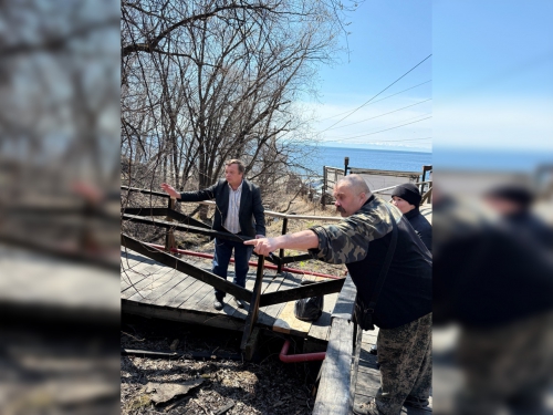 Посадка новых растений в дендропарке - 4 слайд