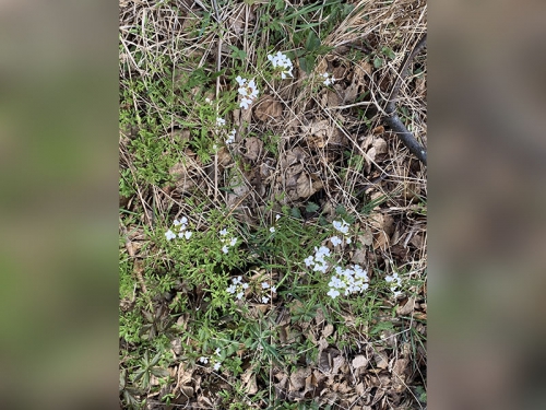 Маритуй в 1925 и 2025 году - 15 слайд