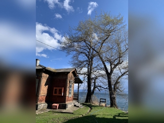 Миниатюра - 11 слайд