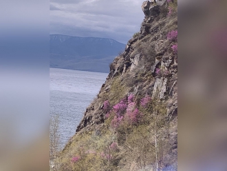 Миниатюра - 16 слайд