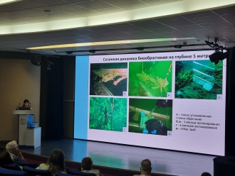 Миниатюра - 2 слайд