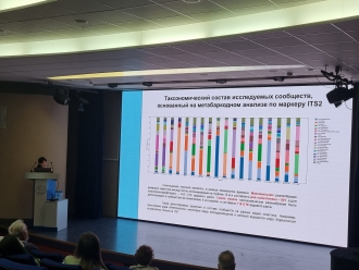 Миниатюра - 3 слайд