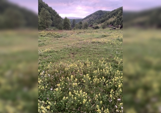 Школьная научно-исследовательская экспедиция в Маритуе