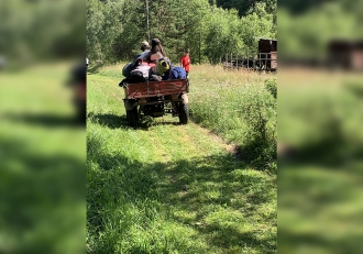 Миниатюра - 15 слайд