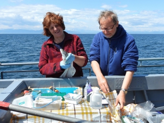 Ихтиологическая экспедиция на НИС «Профессор А. А. Тресков»