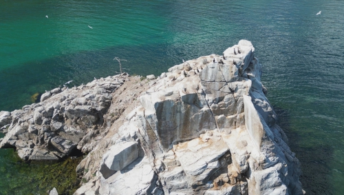 Орнитологическая экспедиция на НИС «Профессор А. А. Тресков» в 2025 году - 2 слайд