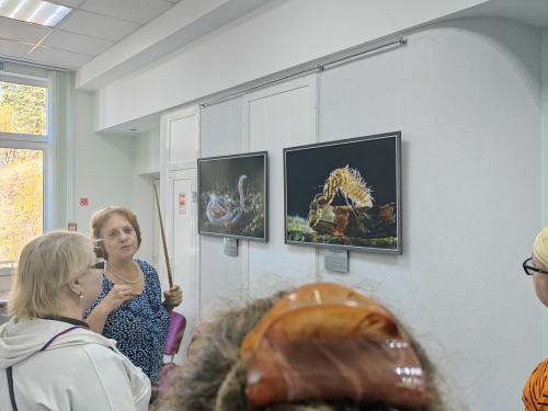 Тематические занятия для гостей музея из Республики Бурятия - 2 слайд