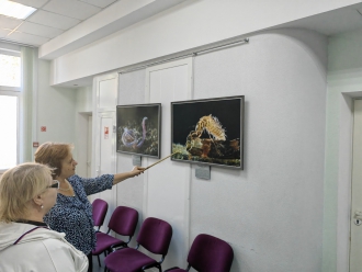 Миниатюра - 3 слайд