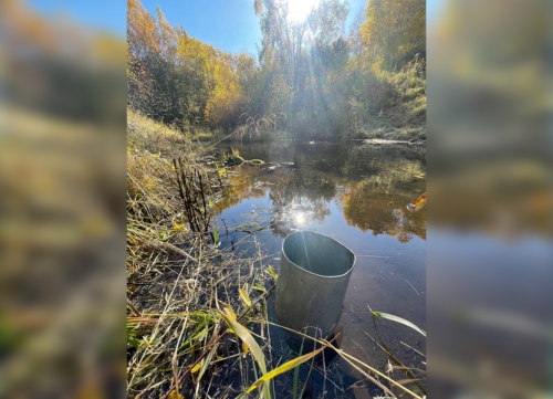 Экспедиция на НИС «Профессор А. А. Тресков» исследовала донные сообщества Байкала - 6 слайд