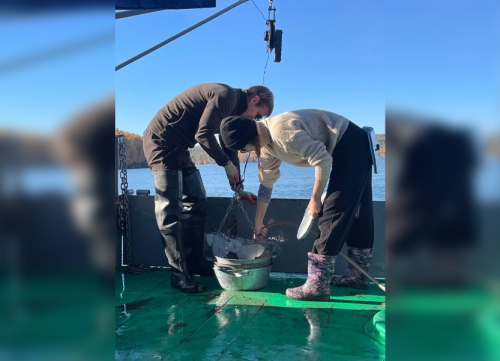 Экспедиция на НИС «Профессор А. А. Тресков» исследовала донные сообщества Байкала - 2 слайд