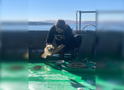 Экспедиция на НИС «Профессор А. А. Тресков» исследовала донные сообщества Байкала - 5 слайд