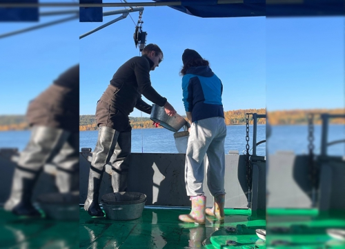 Экспедиция на НИС «Профессор А. А. Тресков» исследовала донные сообщества Байкала - 4 слайд