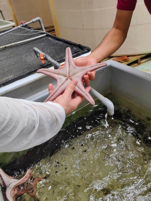 Байкальский музей продолжает развивать сотрудничество с восточно-азиатскими странами - 5 слайд