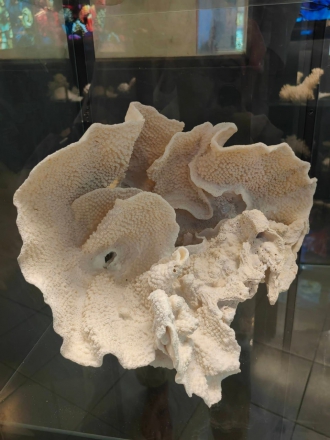 Миниатюра - 4 слайд