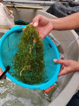 Миниатюра - 6 слайд