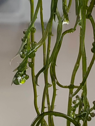 Миниатюра - 7 слайд