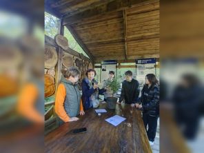 Посадка деревьев в Дендропарке Байкальского музея