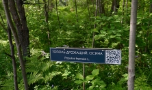 миниатюра фото статьи
