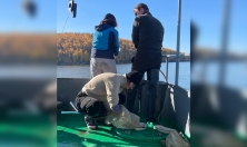 миниатюра - Экспедиция на НИС «Профессор А. А. Тресков» исследовала донные сообщества Байкала - дополнительный вид 3