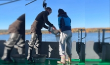 миниатюра - Экспедиция на НИС «Профессор А. А. Тресков» исследовала донные сообщества Байкала - дополнительный вид 4