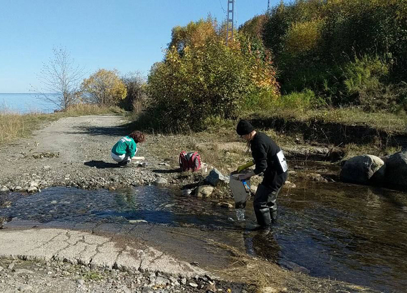 Экспедиция на НИС «Профессор А. А. Тресков» исследовала донные сообщества Байкала - основной вид