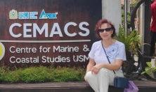 миниатюра - Байкальский музей продолжает развивать сотрудничество с восточно-азиатскими странами - дополнительный вид 1