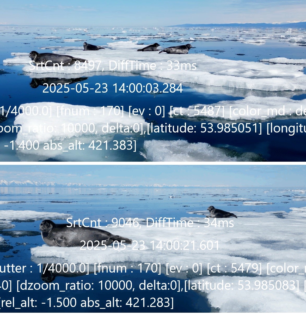 Рис. 5. Пример подлета БПЛА к нерпам, залегающим на плавающих льдах.